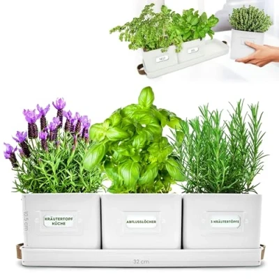 Afbeelding van Green Thumbz Kruidenpotjes, Kruidenpotten met leren handgrepen IIdeaal voor Bloempotten, Kruidentuin en Specerijen Plantenpotten keuken vensterbank dienblad inbegrepen (Warm Stone)