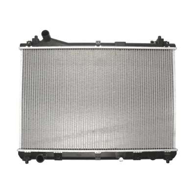 Afbeelding van Thermotec Radiateur D78013TT