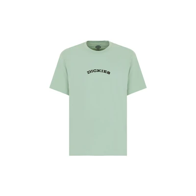 Afbeelding van Dickies Outdoor TEE Tshirt print, Heren, Maat: XS, Iceberg green