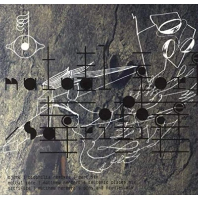 Afbeelding van Biophilia Remixes 6: Matthew Herbert Rx (5&quot; CD Single )