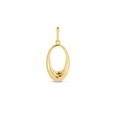 Afbeelding van goud (geelgoud) hanger ovaal 4026074