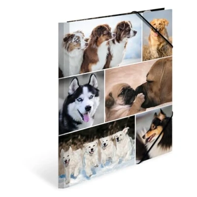 Afbeelding van HERMA 19211 Verzamelmappen A4 dieren honden, 3 stuks, hoekspanmappen voor kinderen van karton met interne druk en elastiek, stevige kartonnen omslagmappen jongens meisjes