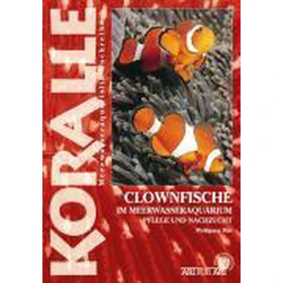 Afbeelding van Clownfische im Meerwasseraquarium