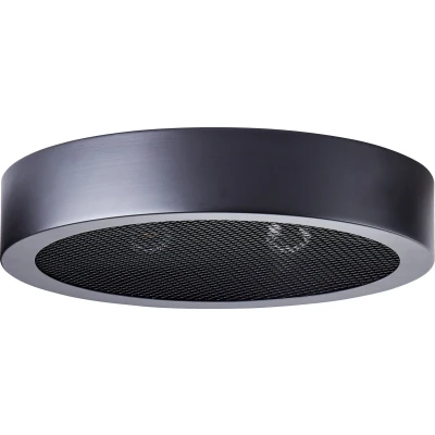 Afbeelding van Brilliant Sandros Plafondlamp E14 max 2x40W Zwart