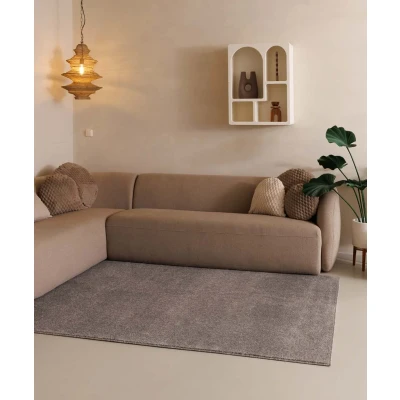 Afbeelding van Laagpolig Tapijt/Vloerkleed Fine Lichtgrijs 240x340 Cm