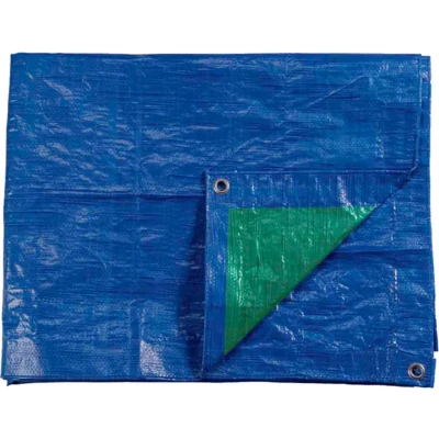 Afbeelding van EDM Blauw/Groen Metalen ogen 90 g/m2 5 x 8 m