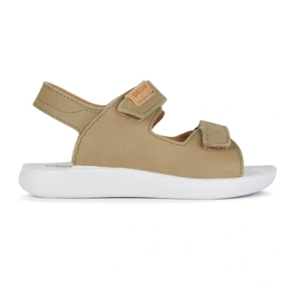 Afbeelding van GEOX J SANDAL LIGHTFLOPPY Groen 34 EU