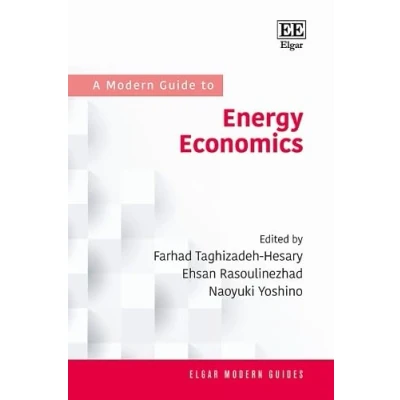 Afbeelding van A Modern Guide to Energy Economics