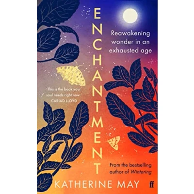 Afbeelding van Enchantment: reawakening Wonder in an Exhausted Age