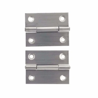 Afbeelding van Benson RVS Scharnieren 50.8 mm Inclusief Schroeven 2 stuks