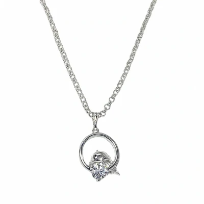 Afbeelding van Zilver Dolfijn ketting zirkonia Charme Bijoux