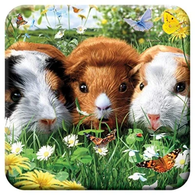 Afbeelding van 3D LiveLife Onderzetter van Kurk Cavia&#039;s Deluxebase. Lenticulaire Dier Onderzetter. Antislip drinkmat met origineel kunstwerk onder licentie de bekende kunstenaar David Penfound