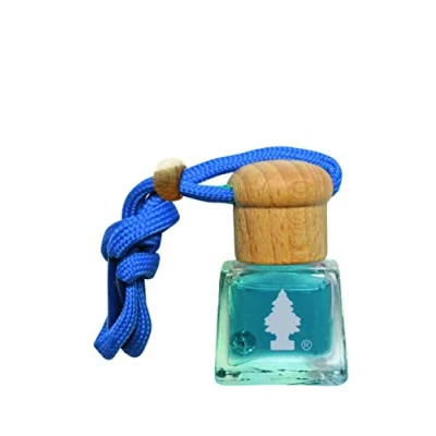 Afbeelding van Kleine bomen Fles Luchtverfrisser Single Pack Sport
