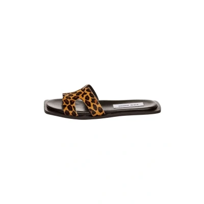 Afbeelding van Steve Madden Sofia Muiltjes, Dames, Maat: 37, Leopard Leer