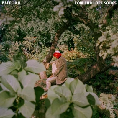 Afbeelding van Pale Jay Low End Love Songs (CD)