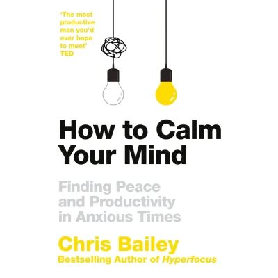 Afbeelding van How to Calm Your Mind: Finding Peace and Productivity in Anxious Times