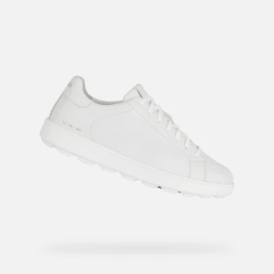 Afbeelding van Geox U Spherica ECUB Sneakers laag, Heren, Maat: 40, White Leer