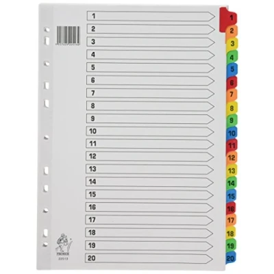 Afbeelding van Rexel Mylar 1 20 tabbladen (DIN A4, versterkte tabbladen) wit