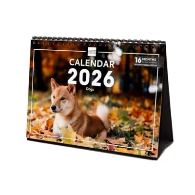 Afbeelding van Finocam Desktop Calendar 2026 Month to View January December + Sep. Dec. 2025 (4 months) reduced Images Dogs International