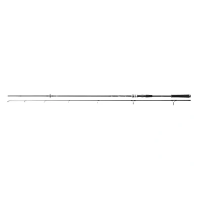 Afbeelding van Daiwa Exceler Spinhengel 2023 2,70m (10 40g)