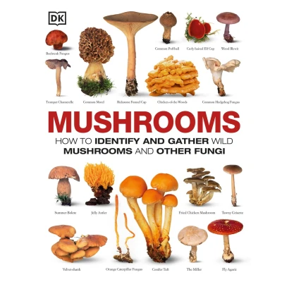 Afbeelding van Mushrooms: How to Identify and Gather Wild Mushrooms Other Fungi