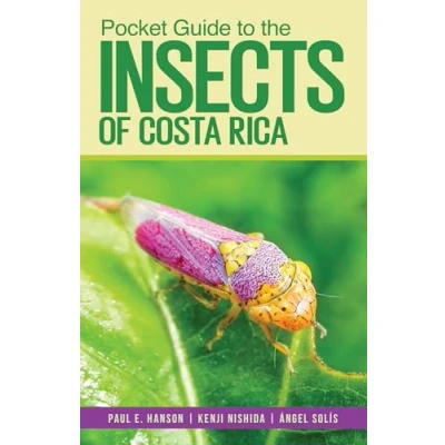 Afbeelding van Pocket Guide to the Insects of Costa Rica
