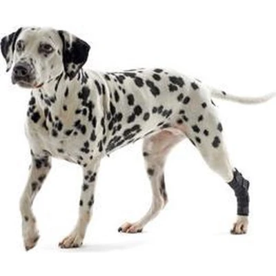 Afbeelding van Kruuse Rehab Hakbeschermer L