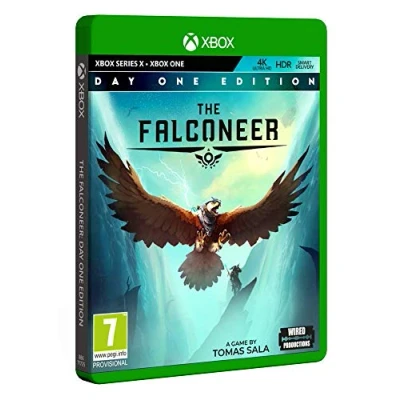 Afbeelding van The Falconeer