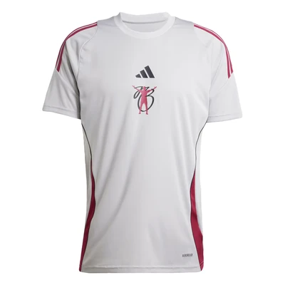 Afbeelding van adidas Performance TIRO Sport Tshirt, Heren, Maat: Small, Grey two