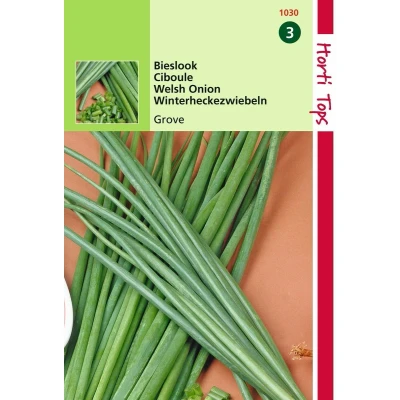 Afbeelding van 2 stuks Hortitops Bieslook Grove Allium Fistulosum