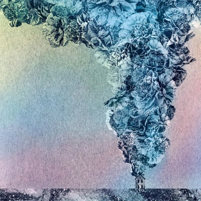 Afbeelding van Daughn Gibson Carnation (LP)