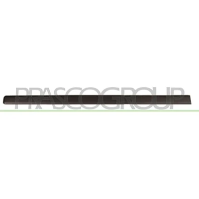 Afbeelding van Sier / beschermingspaneel, deur PRASCO FT1221404