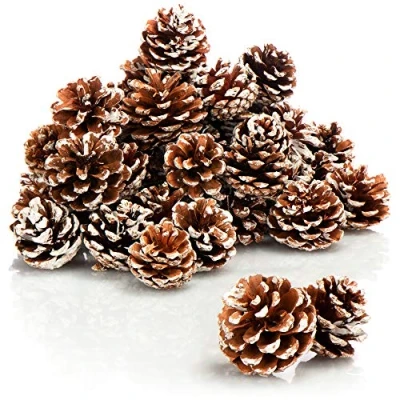 Afbeelding van COM FOUR® 30x dennenappels wit kant als kerstversiering kegeldecoratie strooidecoratie knutselset (30 stuks kant)