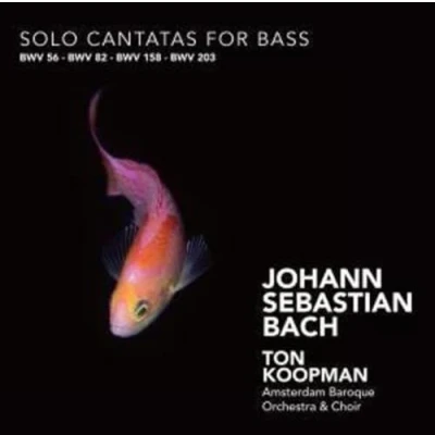 Afbeelding van Solo Cantatas For Bass