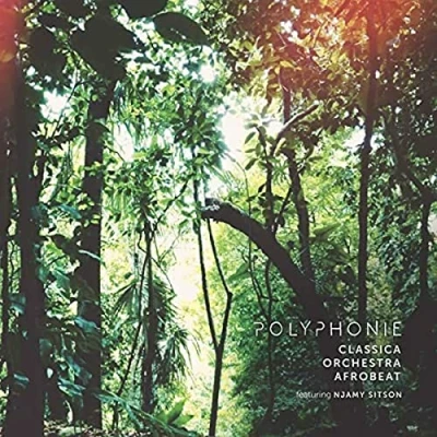 Afbeelding van Classica Orchestra Afrobeat Polyphonie (LP)