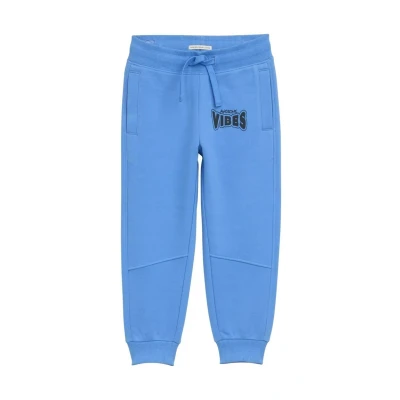 Afbeelding van TOM Tailor Trainingsbroek voor kinderen, Maat: 92/98, Soft mid blue