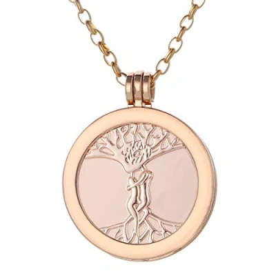 Afbeelding van Morella damesketting goud 70 cm roestvrij staal met hanger en coin 33 mm liefde in sieradenzakje