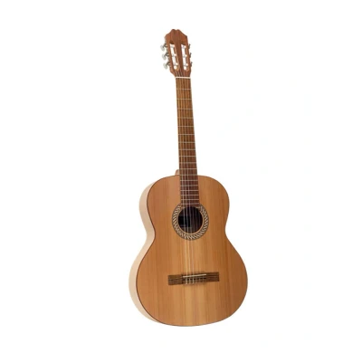Afbeelding van Juan Salvador 1C 4/4 formaat klassieke gitaar