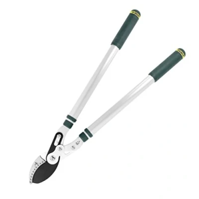 Afbeelding van Spear &amp; Jackson 8081KEW Kew Gardens Dual Compound Telescopische Aambeeld Loppers Zilver