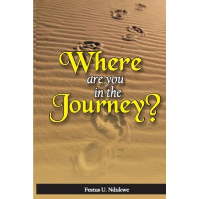 Afbeelding van WHERE ARE YOU IN THE JOURNEY?