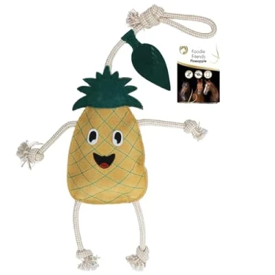 Afbeelding van Excellent Horse Foodie Friends Pineapple Geelverkocht door Agradi