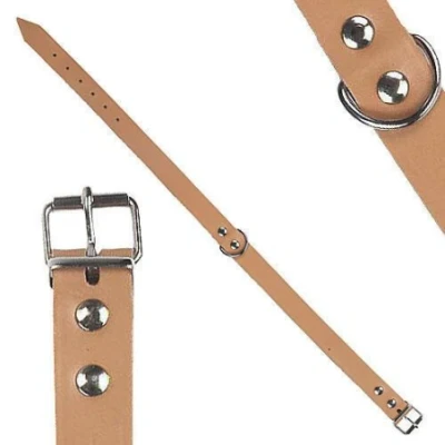 Afbeelding van Goedkope hondenhalsband leer 12mm naturel