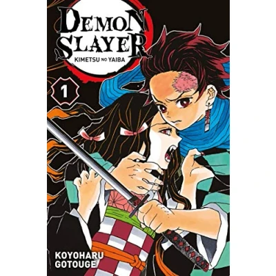 Afbeelding van Demon Slayer T01