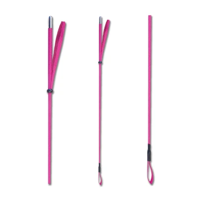 Afbeelding van Waldhausen Rijzweep Roze Rijbenodigdheden 65 cm