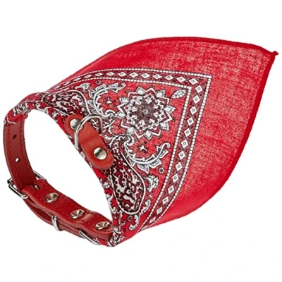 Afbeelding van Nobby Halsband met doek, rood L: 35 cm, 1 stuk