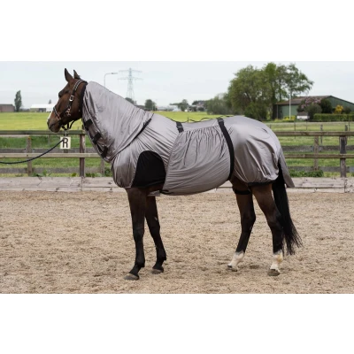 Afbeelding van Eczeemdekens Harry&#039;s Horse Eczeem/vliegendeken UV Grijs Zilver Bovenlengte: 165 cm &amp; Onderlengte: 215