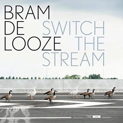 Afbeelding van Bram De Looze Switch The Stream (2 LP)