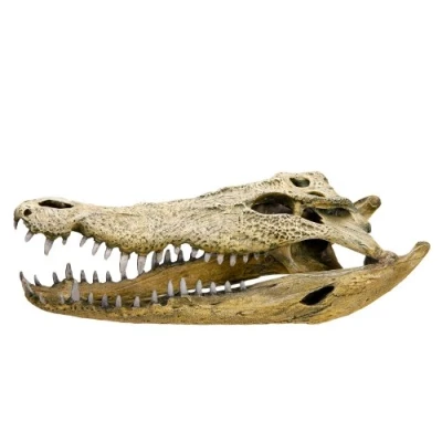 Afbeelding van Nobby 28108 Krokodil Schedel Aquarium Ornamenten, 47,5 x 20,5 16 cm