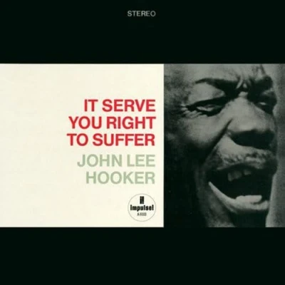 Afbeelding van John Lee Hooker It Serve You Right To Suffer (2 LP)
