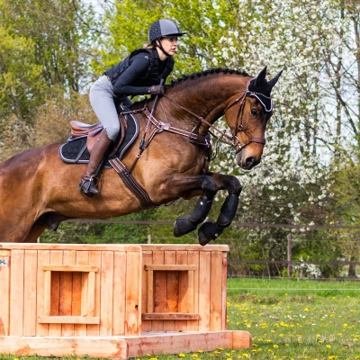 Afbeelding van QHP QCross Kevlar V eventing beschermers zwart maat:m